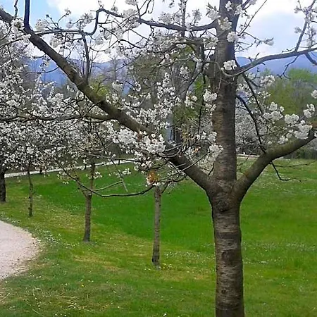 Rurale Parco Di San Floriano Vandrarhem Polcenigo