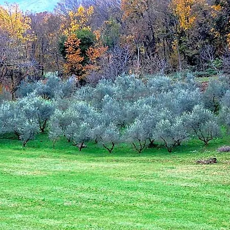 Rurale Parco Di San Floriano * Polcenigo