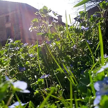 Rurale Parco Di San Floriano Vandrarhem Polcenigo