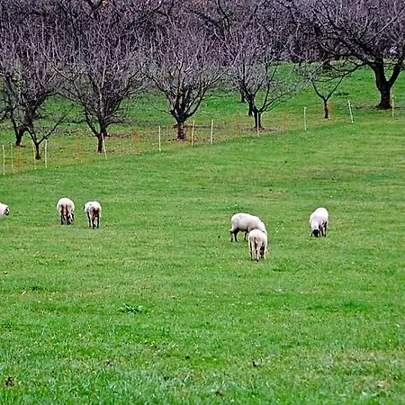 Vandrarhem Rurale Parco Di San Floriano *