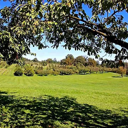 Rurale Parco Di San Floriano Vandrarhem *