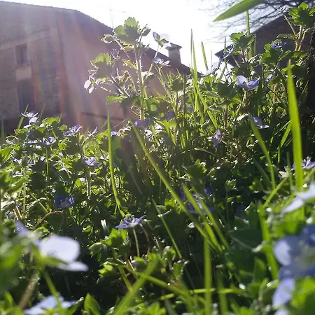 Rurale Parco Di San Floriano * Polcenigo