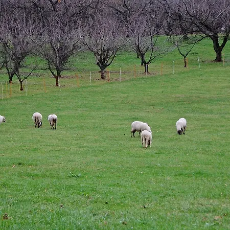 Rurale Parco Di San Floriano