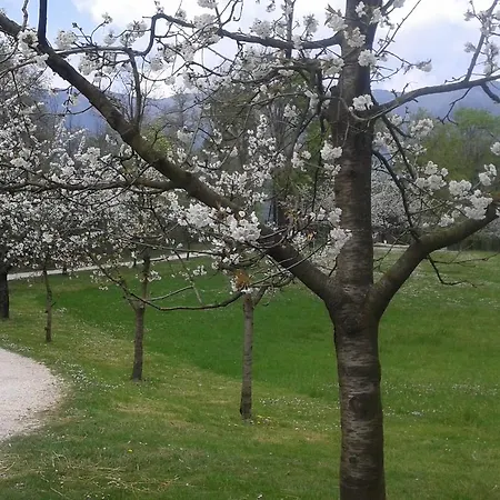 Rurale Parco Di San Floriano Albergue *