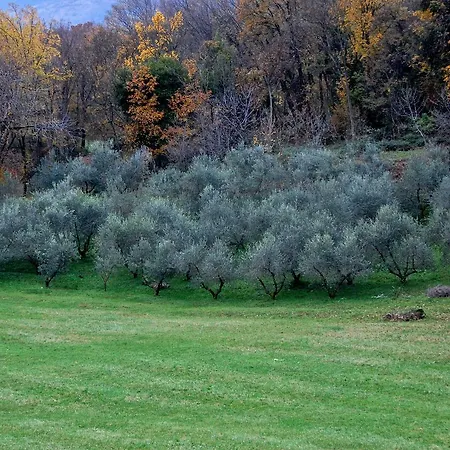 Rurale Parco Di San Floriano Hostel Polcenigo