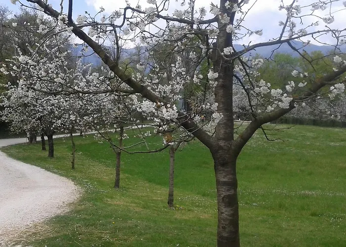 Rurale Parco Di San Floriano Hostel *