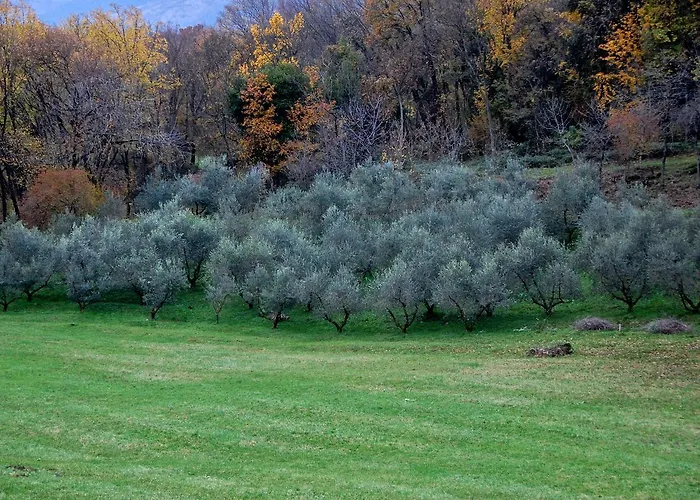 Rurale Parco Di San Floriano Hostel Polcenigo